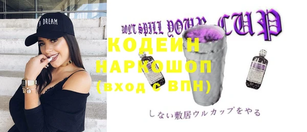 дмт Арсеньев