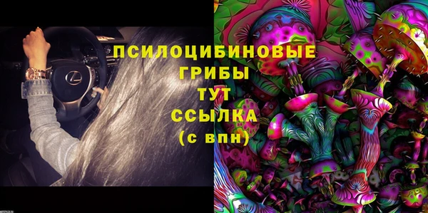 дмт Арсеньев