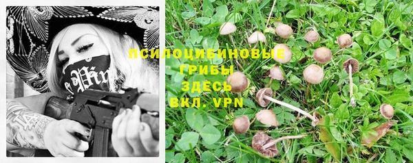 дмт Арсеньев