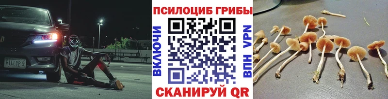 Купить закладки  Павловская  Галлюциногенные грибы мухоморы 